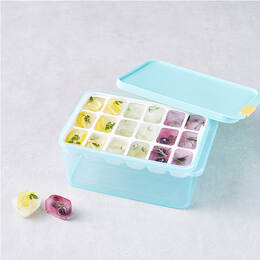 Hộp Trữ Đông Freezer Fit LocknLock 1.65L - Kèm Khuôn Chia Nhỏ Thực Phẩm 18 Ngăn - HFL104D18